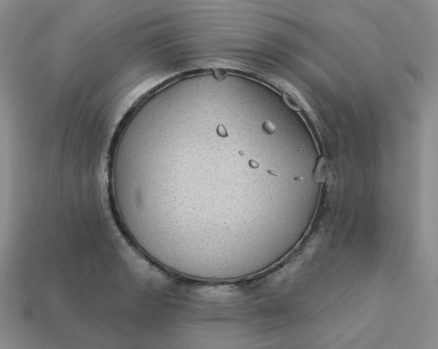 X0000113271133200910011422