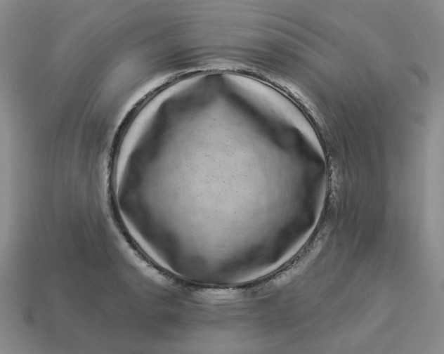 X0000113271134200910011422