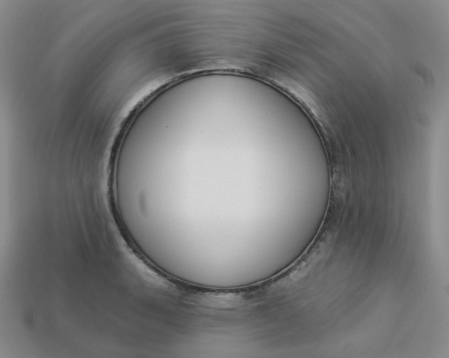 X0000113271135200910011422