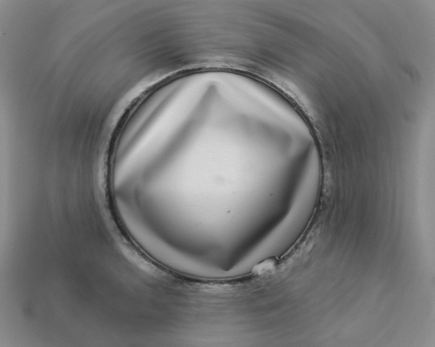 X0000113271136200910011422