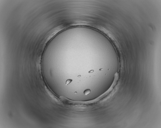 X0000113271137200910011422