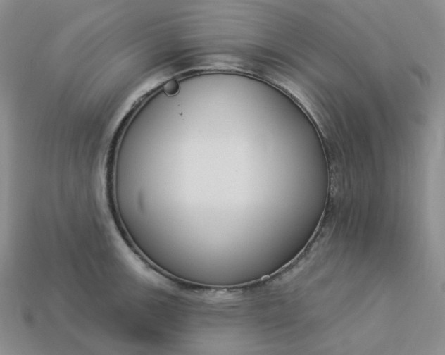 X0000113271139200910011422