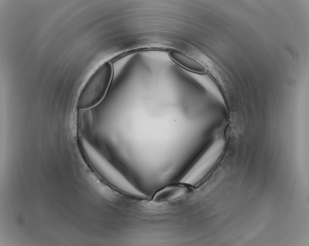 X0000113271140200910011422