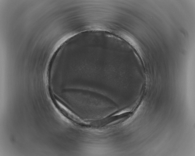 X0000113271141200910011422