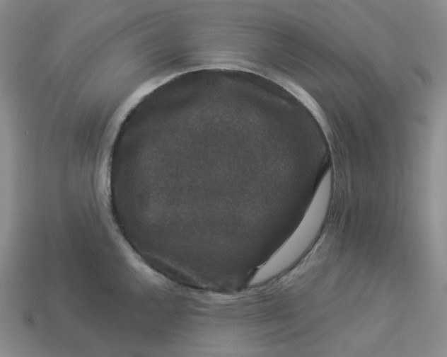 X0000113271144200910011422