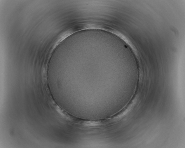 X0000113271145200910011422