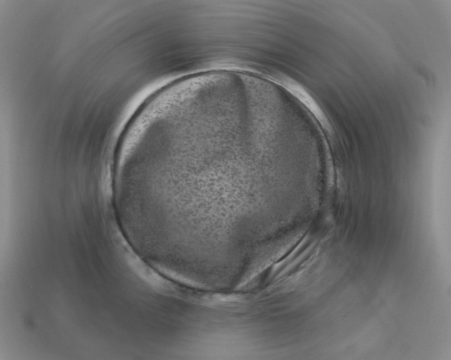 X0000113271148200910011423