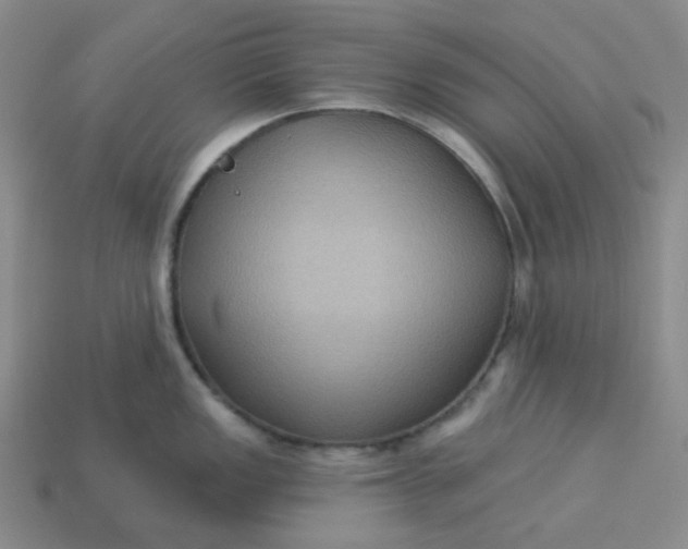 X0000113271149200910011423