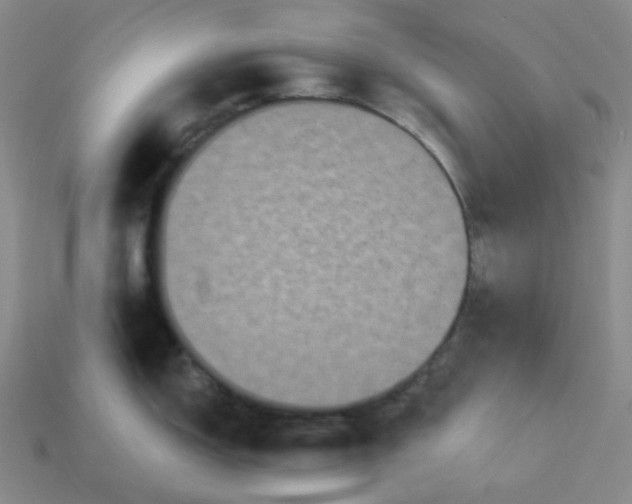 X0000113271150200910011423