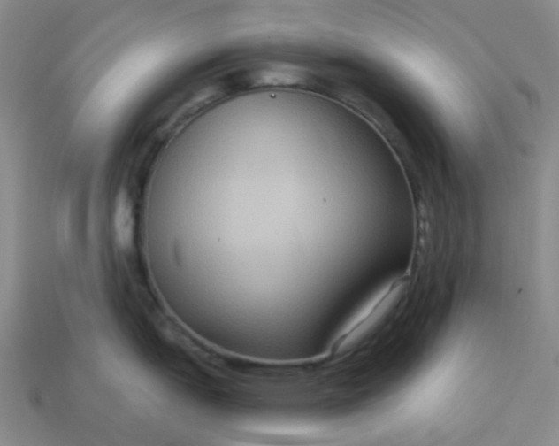 X0000113271151200910011423