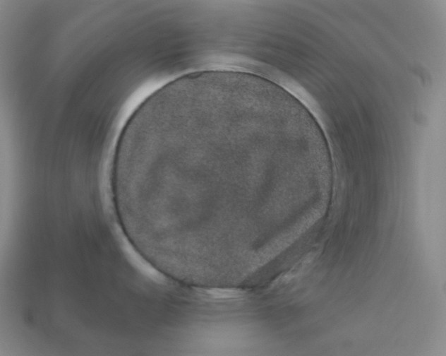 X0000113271152200910011423