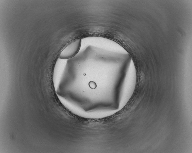 X0000113271153200910011422