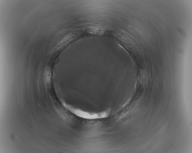 X0000113271154200910011422