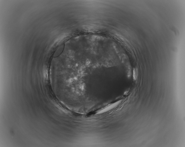 X0000113271155200910011422