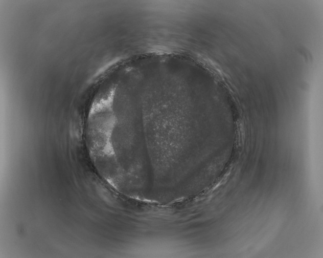 X0000113271158200910011422