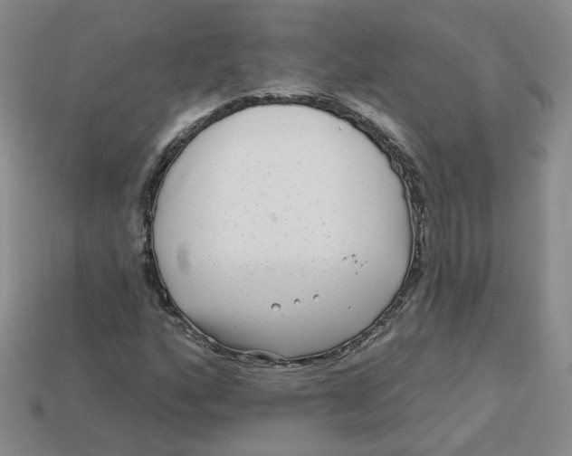 X0000113271160200910011422