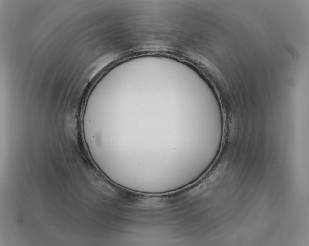 X0000113271162200910011422