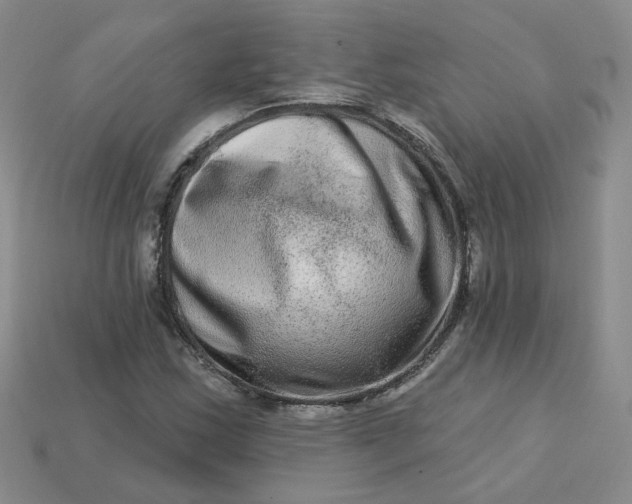 X0000113271163200910011422