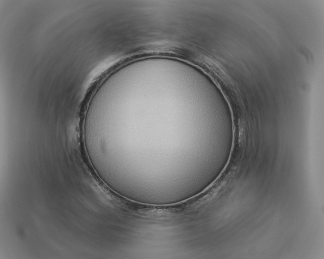 X0000113271164200910011422