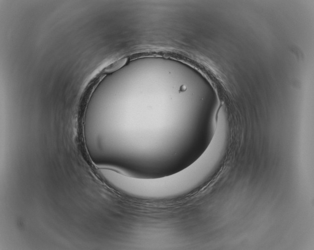 X0000113271165200910011422