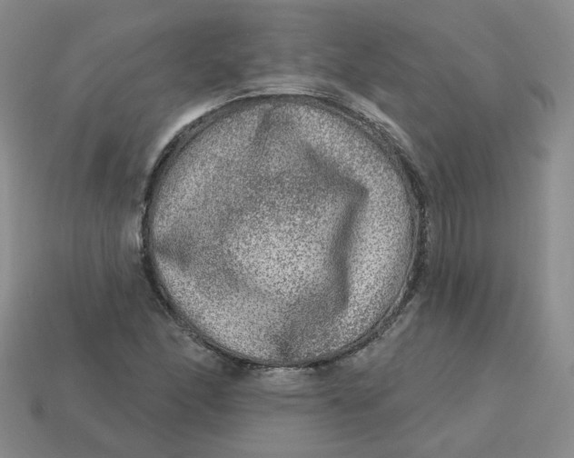 X0000113271166200910011422