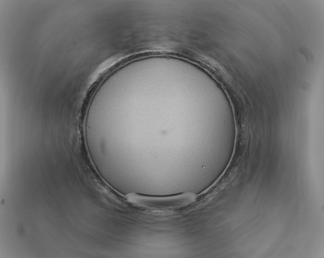 X0000113271168200910011422