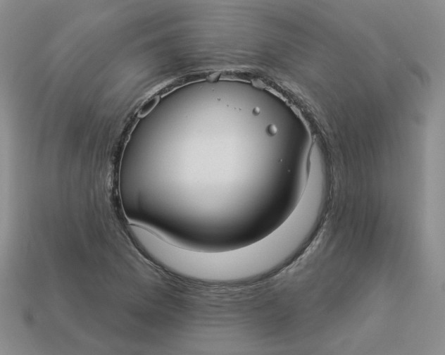 X0000113271169200910011422