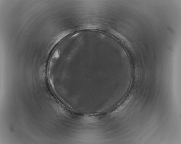 X0000113271170200910011422