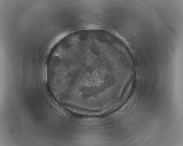 X0000113271171200910011422