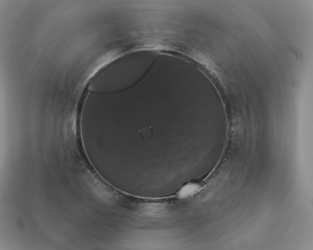 X0000113271173200910011422