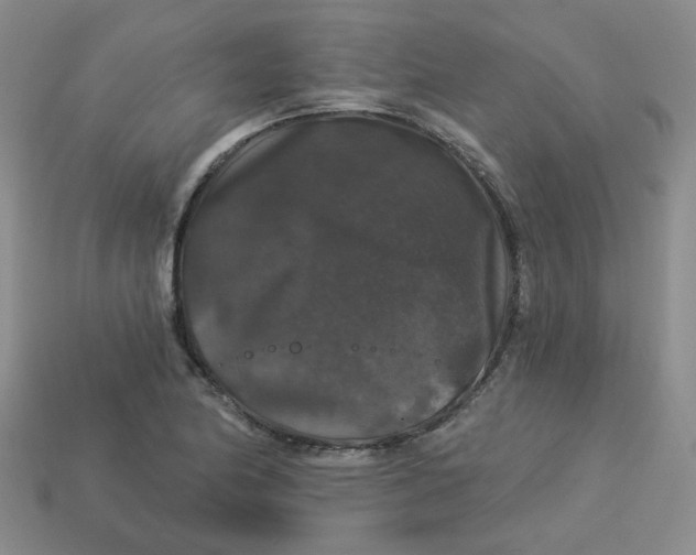 X0000113271174200910011422