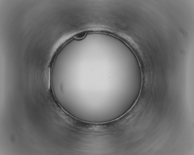 X0000113271175200910011422