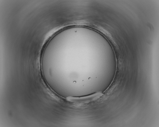 X0000113271176200910011422