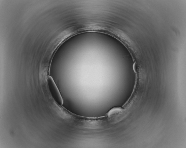 X0000113271177200910011422