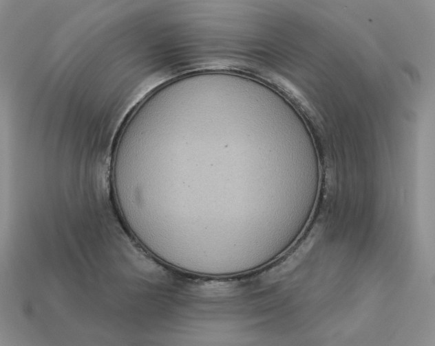 X0000113271178200910011422