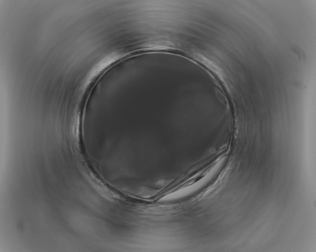 X0000113271179200910011422