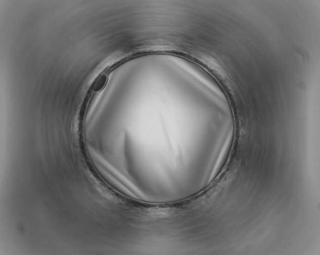 X0000113271181200910011422