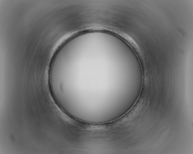 X0000113271183200910011422