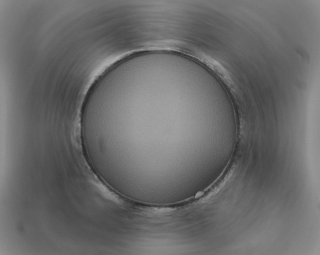 X0000113271184200910011422