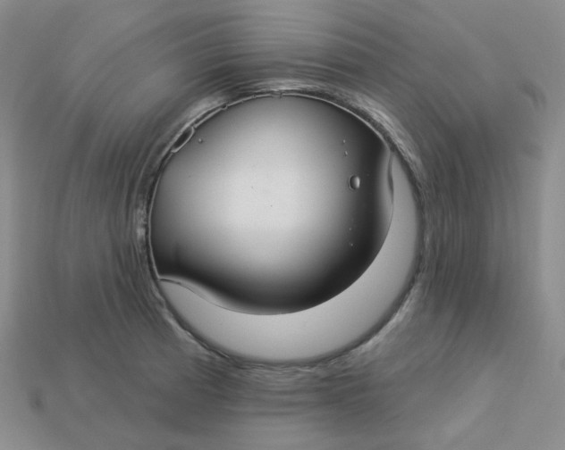 X0000113271185200910011422