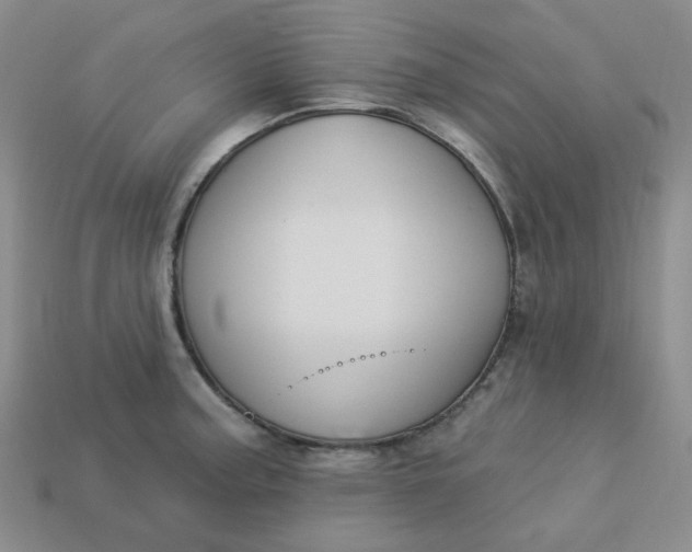 X0000113271187200910011422