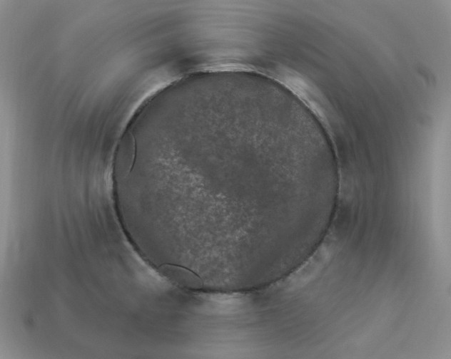 X0000113271189200910011421