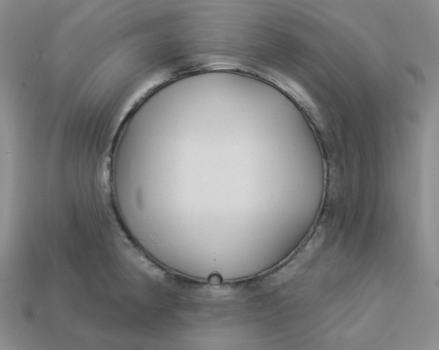 X0000113271190200910011421