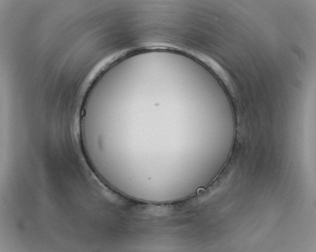 X0000113271191200910011421