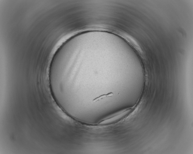 X0000113271192200910011421