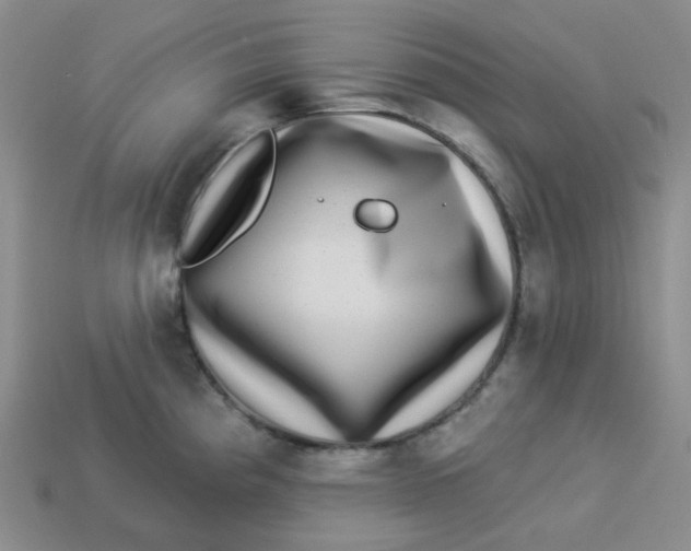 X0000113271193200910011421