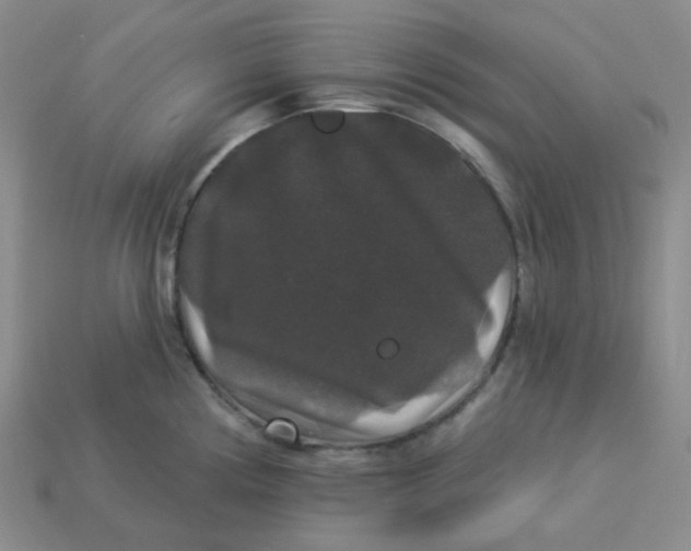 X0000113271194200910011421