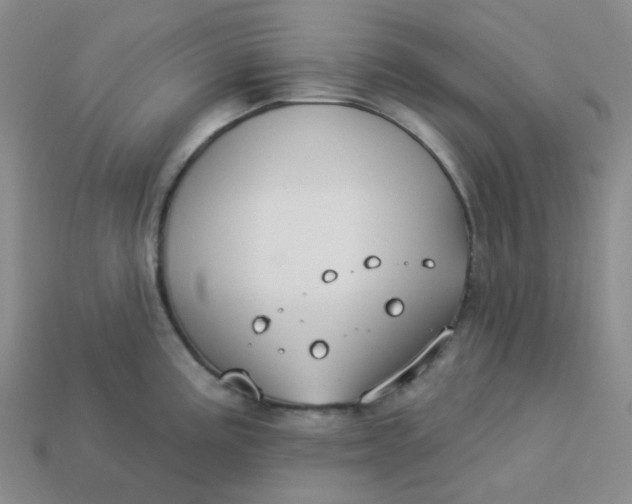 X0000113271195200910011421