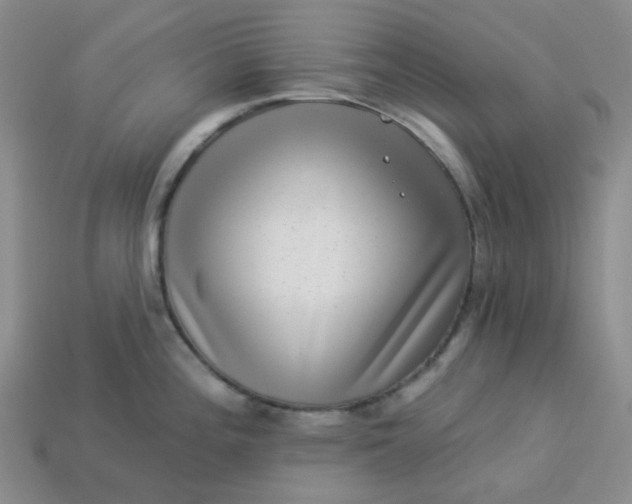 X0000113271196200910011421