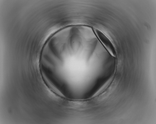 X0000113271197200910011421